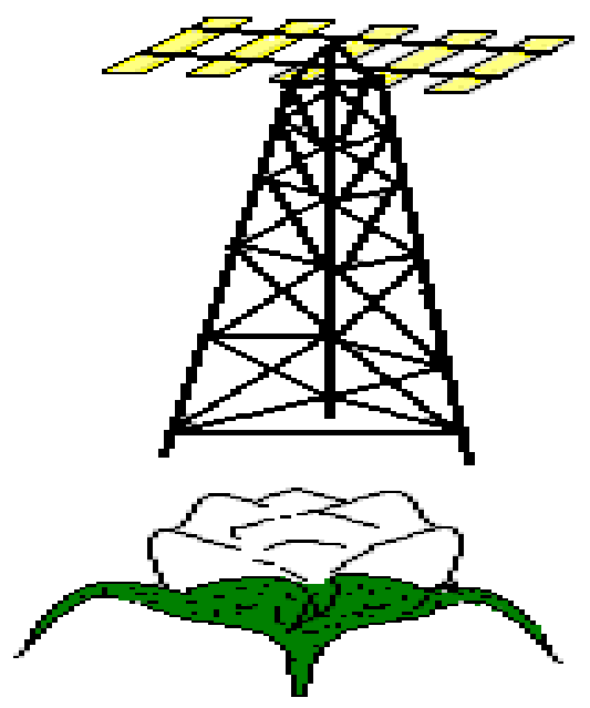 Logo de Radio Naane Ouassa Fm